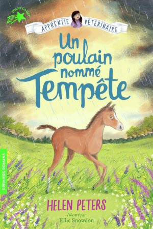 APPRENTIE VETERINAIRE - 9 UN POULAIN NOMME TEMPETE - HELEN PETERS - GALLIMARD