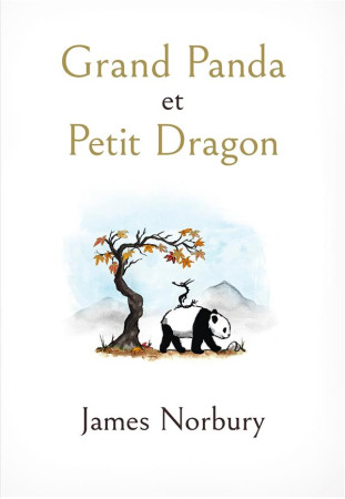 GRAND PANDA ET PETIT DRAGON - NORBURY, JAMES - HACHETTE