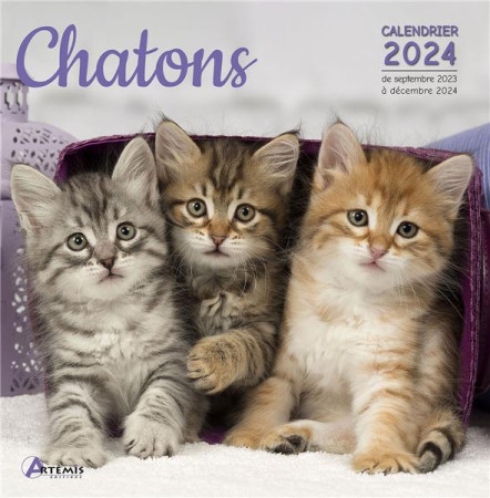 CALENDRIER CHATONS 2024 - COLLECTIF - NC