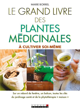 GRAND LIVRE DES PLANTES MEDICINALES - BORREL MARIE - Leduc.s éditions