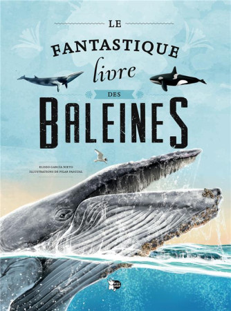 FANTASTIQUE LIVRE DES BALEINES (LE) - COLLECTIF - NC