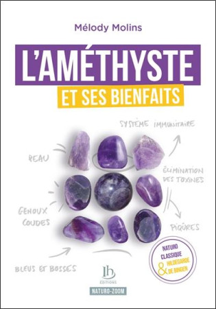 AMETHYSTE ET SES BIENFAITS - MOLINS MELODY - HILDEGARDIEN