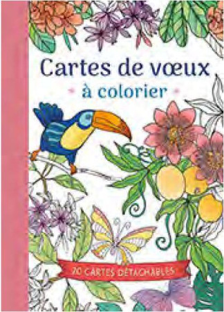 CARTES DE VOEUX A COLORIER - COLLECTIF - NC