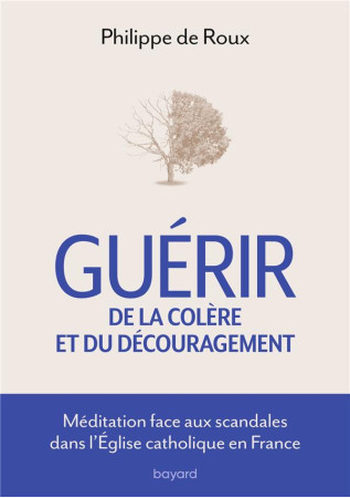 GUERIR DE LA COLERE ET DU DECOURAGEMENT - MEDITATION FACE AUX SCANDALES DE L-EGLISE CATHOLIQUE - XXX - CRER