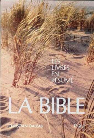 BIBLE LES LIVRES EN RESUME - Christian DALEAU - TEQUI