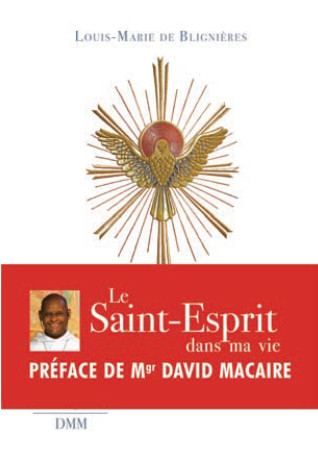 SAINT-ESPRIT DANS MA VIE -  R.P. Louis-Marie de Blignières - MARTIN MORIN