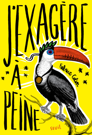 J-EXAGERE A PEINE - Fabrice Colin - SEUIL JEUNESSE