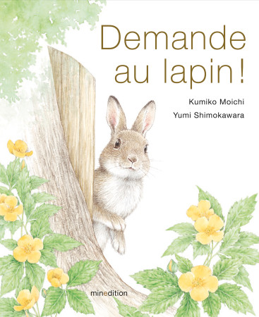 DEMANDE AU LAPIN ! -  Shimokawara yumi - MINEDITION