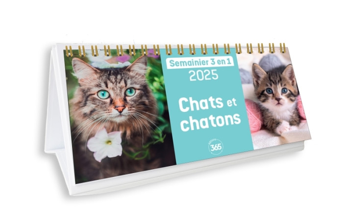 CHATS ET CHATONS - XXX - 365 PARIS