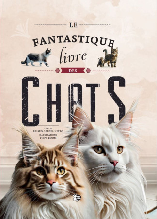 CHATS (LES ) -  Collectif - PTIT LOUP