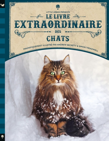 Le Livre extraordinaire des chats -  Taylor Barbara - LITTLE URBAN